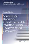 Structural and Biochemical Characterization of the YaxAB Pore-forming Toxin from Yersinia Enterocolitica