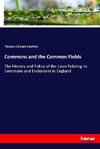 Commons and the Common Fields