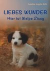 Liebes Wunder