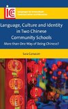 Language, Culture and Identity in Two Chinese Community Schools