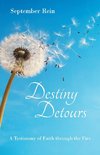 Destiny Detours