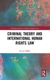 Criminal Theory and International Human Rights Law