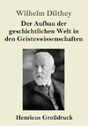 Der Aufbau der geschichtlichen Welt in den Geisteswissenschaften (Großdruck)