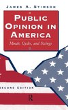 Public Opinion In America