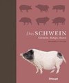 Das Schwein