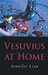 Vesuvius at Home