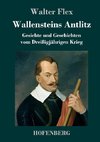 Wallensteins Antlitz