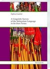 A Linguistic Survey of the Malayalam Language in Its Own Terms