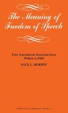 The Meaning of Freedom of Speech