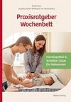 Praxisratgeber Wochenbett