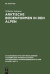 Arktische Bodenformen in den Alpen