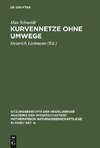 Kurvennetze ohne Umwege