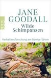 Wilde Schimpansen