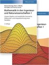 Mathematik in den Ingenieur- und Naturwissenschaften