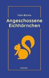 Angeschossene Eichhörnchen