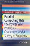 Parallel Computing Hits the Power Wall