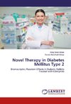 Novel Therapy in Diabetes Mellitus Type 2