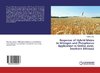 Response of Hybrid Maize to Nitrogen and Phosphorus Application in Gedeo zone, Southern Ethiopia