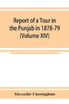 Report of a Tour in the Punjab in 1878-79 (Volume XIV)