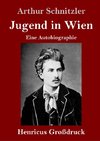 Jugend in Wien (Großdruck)