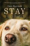 Stay