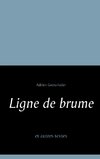 Ligne de brume