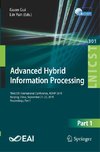 Advanced Hybrid Information Processing