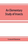 An Elementary Study of Insects