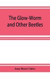 The Glow-Worm and Other Beetles