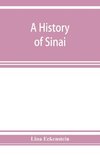 A history of Sinai