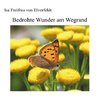 Bedrohte Wunder am Wegrand