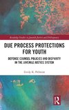 Due Process Protections for Youth