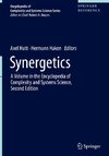 Synergetics