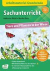 Arbeitsmaterial Grundschule. Sachunterricht. Tiere und Pflanzen in der Wiese