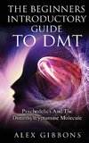 The Beginners Introductory Guide To DMT -  Psychedelics And The Dimethyltryptamine Molecule