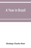 A year in Brazil