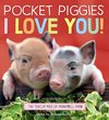 Pocket Piggies: I Love You!