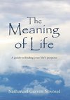 The Meaning of Life