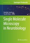 Single Molecule Microscopy in Neurobiology