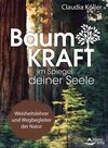 Baumkraft im Spiegel deiner Seele