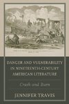 Danger and Vulnerability in Nineteenth-century American Literature