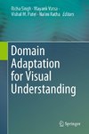 Domain Adaptation for Visual Understanding