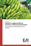 Opzioni e opportunità di accesso al mercato innovative