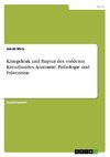 Kniegelenk und Ruptur des vorderen Kreuzbandes. Anatomie, Pathologie und Prävention