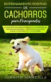 Entrenamiento Positivo De Cachorros Para Principiantes