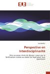 Perspective en Interdisciplinarité