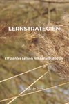 Lernstrategien