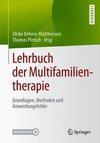 Lehrbuch der Multifamilientherapie