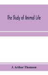 The study of animal life