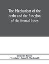 The mechanism of the brain and the function of the frontal lobes